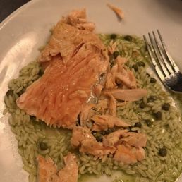 Salmon Salmon