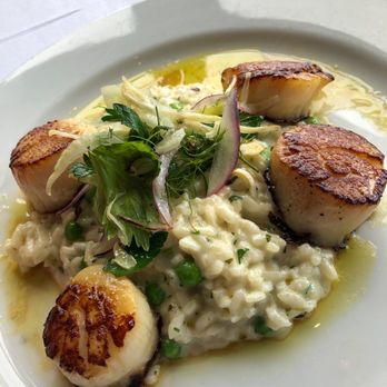 Ocean Prime - Sea Scallops - Seafood Near Me - Tampa, Florida Ocean Prime - Sea Scallops - Seafood Near Me - Tampa, Florida