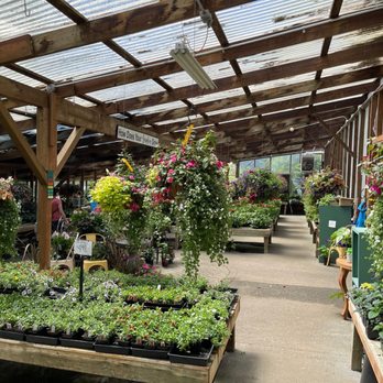 Vassey Nursery - Nurseries & Gardening Near Me - Puyallup, Washington Vassey Nursery - Nurseries & Gardening Near Me - Puyallup, Washington
