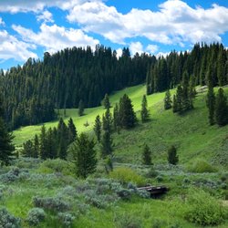 Covered Wagon Ranch
