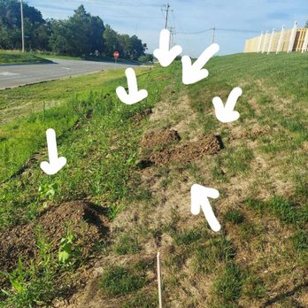 Gretna Fencing - dirt piles they dumped behind my backyard - Fences & Gates Near Me Gretna Fencing - dirt piles they dumped behind my backyard - Fences & Gates Near Me