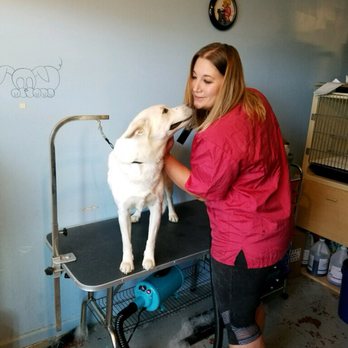 Fluff And Puff - Deshedding - Pet Groomers Near Me - Grand junction , Colorado