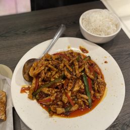 Shredded Pork