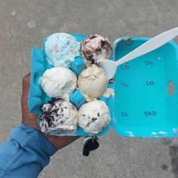 Two Roosters Ice Cream - Flavors marked on the side for reference. How nice!