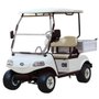Photo of Venice Cart Rentals