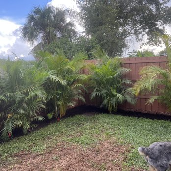 Troy's Tropics - Nurseries & Gardening Near Me - Sarasota, Florida Troy's Tropics - Nurseries & Gardening Near Me - Sarasota, Florida