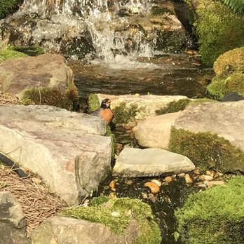 JVI Secret Gardens - Nurseries & Gardening Near Me - Nashville, Tennessee