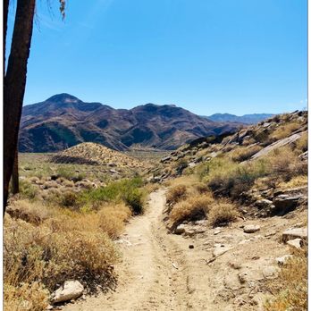 Indian Canyons - Here we go...Entering Murray trailhead. Oh boy, it looks Christmas morning! Lol. ;p - Parks Near Me - Palm Springs, California