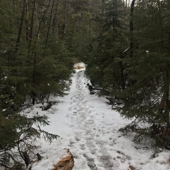 Green Point Preserve - Hiking Near Me - West Bath, Maine