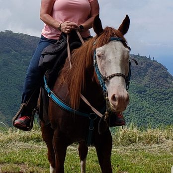 Wailea Horseback Adventure - Horseback Riding Near Me - Hakalau, Hawaii