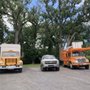 Photo of Velazquez Tree Care