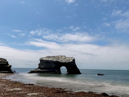 Natural Bridges State Beach by null
