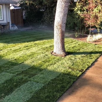 JT Landscape Management - Landscape Architects or Designers Near Me - Delhi, California JT Landscape Management - Landscape Architects or Designers Near Me - Delhi, California