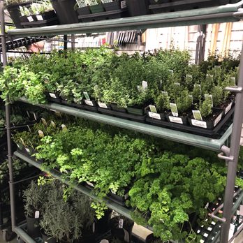 Harpeth True Value Hardware - New herbs for spring planting - Hardware Stores Near Me - Franklin, Tennessee