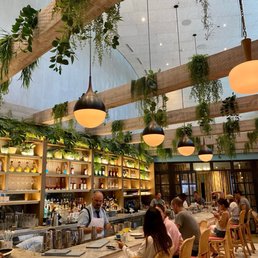 SADELLE’S COCONUT GROVE - Updated December 2024 - 446 Photos & 213 ...