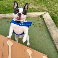 Daphne Dog Park - Ramp to tunnel