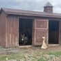 Photo of Fisher's Country Store