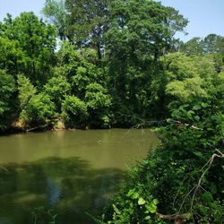 Boling Park - River views