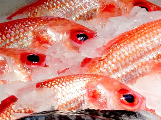 Kailis Bros Leederville by null