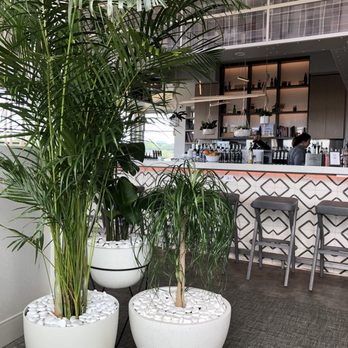 Santo Cielo - New American Near Me - Naperville, Illinois