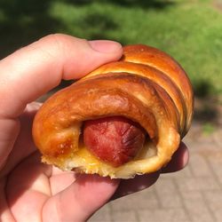 Cheese Shoppe - Hot Dog