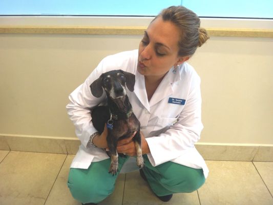 Biscuits & Bath - Riverside Blvd by null