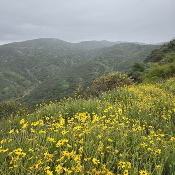 Eagle Rock Canyon Trail - Hiking Near Me - Los Angeles, California Eagle Rock Canyon Trail - Hiking Near Me - Los Angeles, California