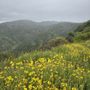 Photo of Eagle Rock Canyon Trail