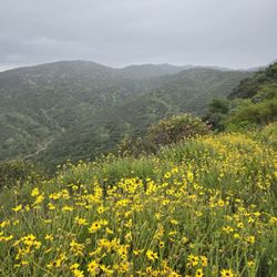 Eagle Rock Canyon Trail