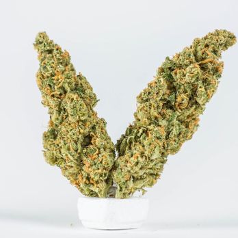 CannaBliss - Cannabis Dispensaries Near Me CannaBliss - Cannabis Dispensaries Near Me