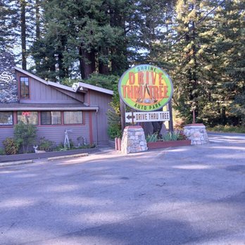 Shrine Drive Thru Tree - $15 fee to access this tree - Landmarks & Historical Buildings Near Me - Meyers Flat, California