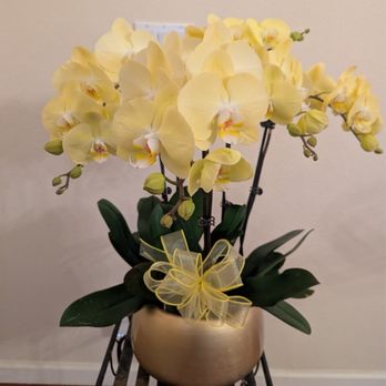 Eric Orchids - Florists Near Me - San Jose, California Eric Orchids - Florists Near Me - San Jose, California