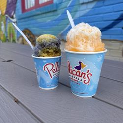 Pelican's SnoBalls - Dinosaur and Creamsicle