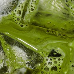 Smoking Tiger Bread Factory - Matcha Latte