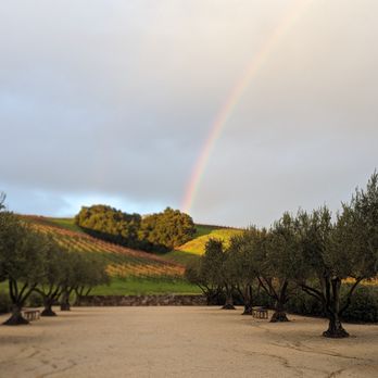 Niner Wine Estates - Heart Hill - Wine Tasting Room Near Me - Paso Robles, California Niner Wine Estates - Heart Hill - Wine Tasting Room Near Me - Paso Robles, California