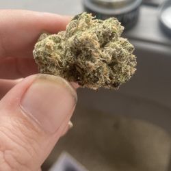 Releaf Specialists - Greensburg - Nugget of alien Nightmare. A very nice strong indica.