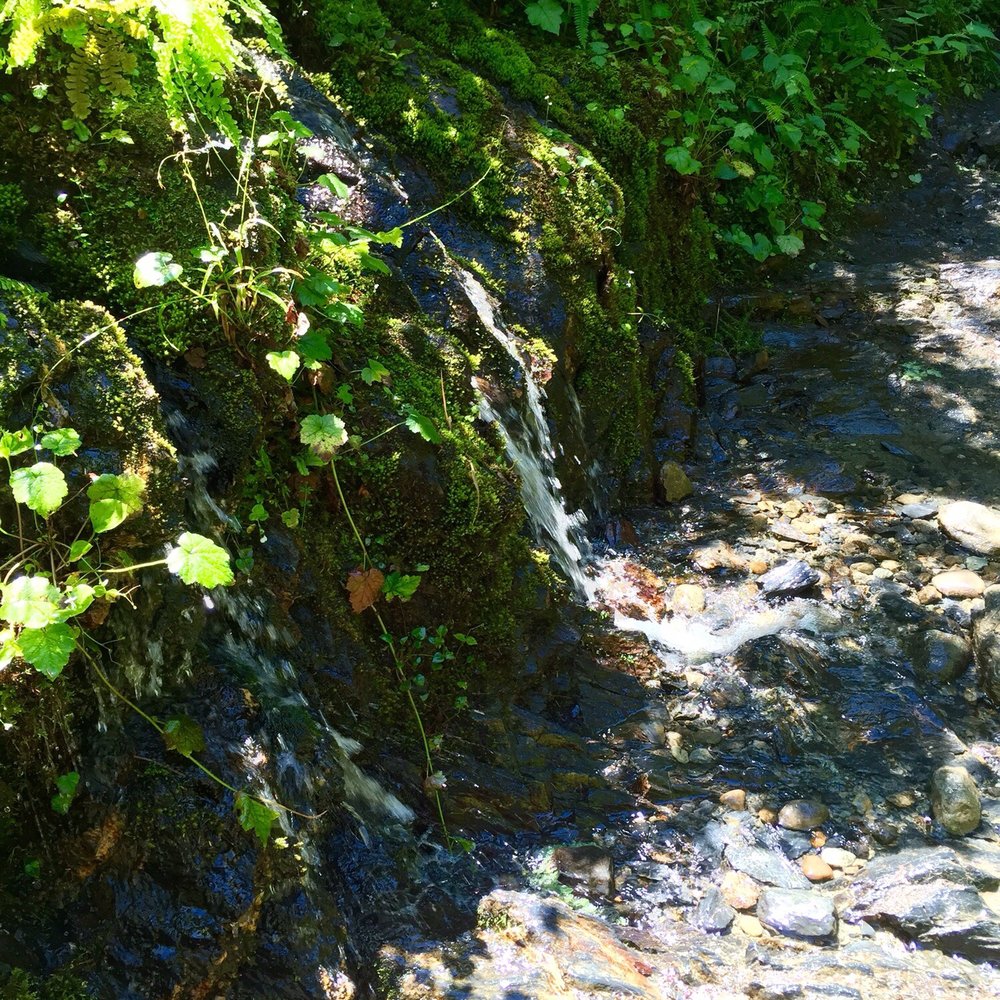 Lake 22 - One of many little trickles of water along the way. - Hiking Near Me - Granite Falls, Washington Lake 22 - One of many little trickles of water along the way. - Hiking Near Me - Granite Falls, Washington