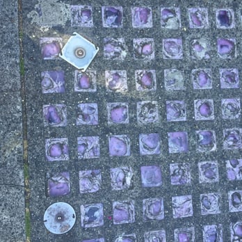 Beneath the Streets - Historical Tours Near Me - Seattle, Washington