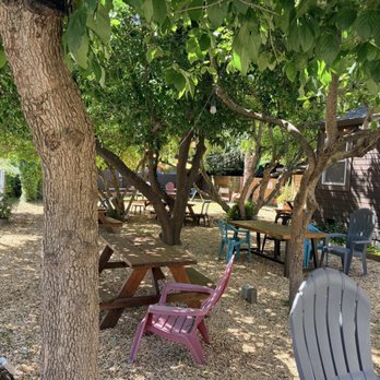 Tree House Cafe - Cafes Near Me - West Sacramento, California Tree House Cafe - Cafes Near Me - West Sacramento, California