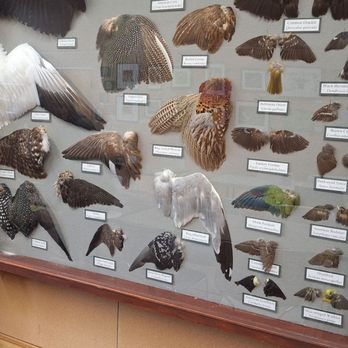 Five Rivers Environmental Center - Museums Near Me - Delmar, New York