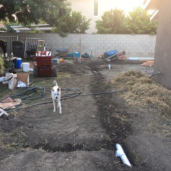 Munoz Construction - Harley a little confused checking out his backyard. - General Contractors Near Me Munoz Construction - Harley a little confused checking out his backyard. - General Contractors Near Me