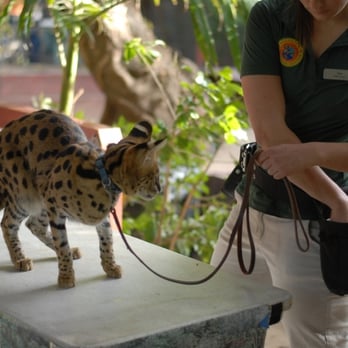 Wildlife Learning Center - Zoos Near Me - Sylmar, California Wildlife Learning Center - Zoos Near Me - Sylmar, California