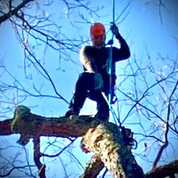 A&H Affordable Tree Services