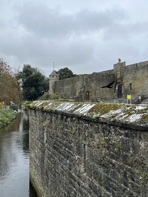 Cahir Castle by null