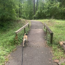 Buhlow Lake Recreation Area - Jac always on point