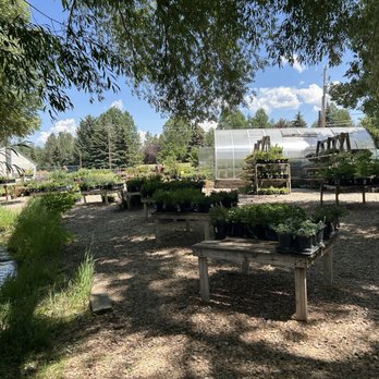 Park City Gardens - Nurseries & Gardening Near Me - Park City, Utah Park City Gardens - Nurseries & Gardening Near Me - Park City, Utah