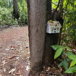 Waihou Spring Trail