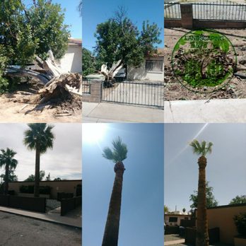 Aj S Landscaping 26 Photos Landscaping Phoenix Az Phone Number