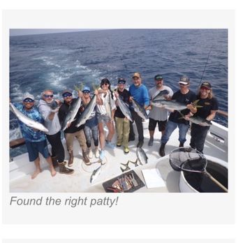 Searcher Sportfishing - Fishing Near Me - San Diego, California