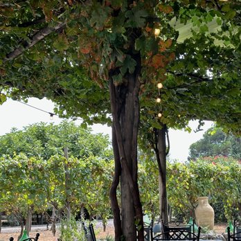 Bosco de' Medici - Resorts Near Me - Pompei, NA